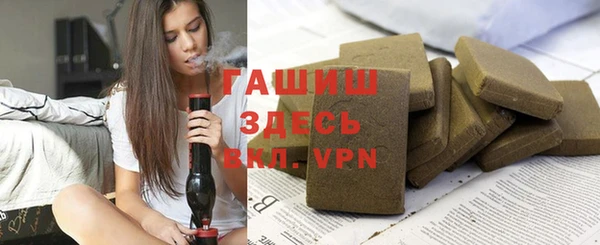 индика Богородицк