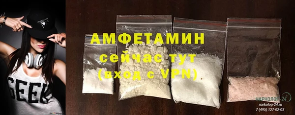 индика Корсаков