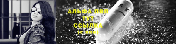 spice Беломорск