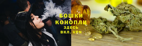 дурь Заводоуковск