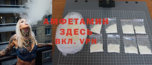 индика Богородицк