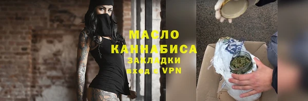 индика Богородицк