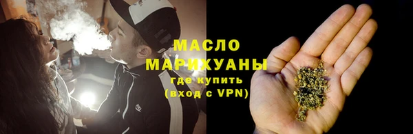 индика Богородицк