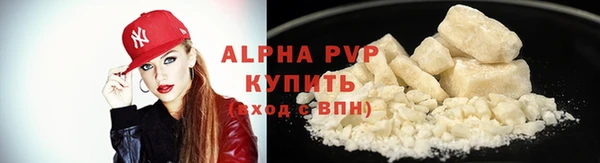 прущие грибы Белокуриха