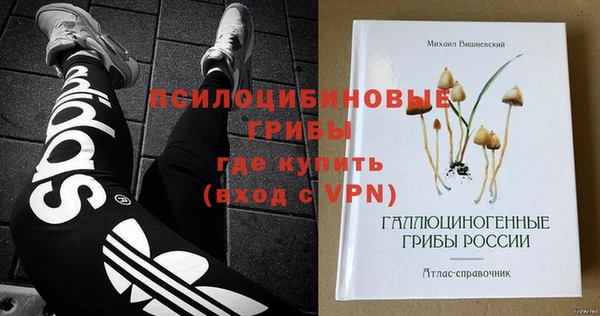 прущие грибы Белокуриха