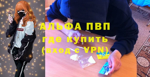 spice Беломорск