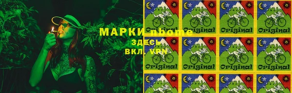 прущие грибы Белокуриха