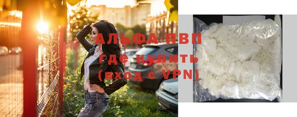 прущие грибы Белокуриха