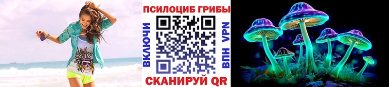 Галлюциногенные грибы Psilocybe  Грязи 
